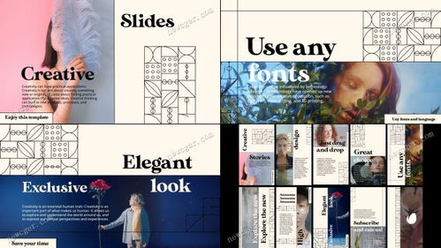 現代干凈設計 創意圖文時尚海報的AE模板與展覽展示服務