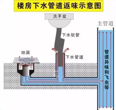 告別廚衛臭味？先從讀懂地漏開始！